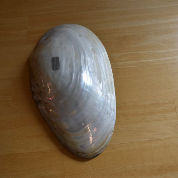 Jay King Lapis Inlay Shell Bowl - Picture 9 of 10